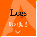 Legs